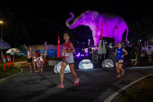 BIB: 
                            <button type="button" onclick="openModal(26552203)" class="btn btn-primary btn-sm float-right btn-popup" data-toggle="modal" data-target=".modal-high-quality">
                        <i class="fas fa-shopping-cart"></i> Add to Cart
                    </button>
                                            <button type="button" onclick="isThisMe(26552203, true)" class="btn btn-success btn-sm float-right btn-popup btn-isme hidden" data-toggle="tooltip" data-placement="bottom" title="นี่คือรูปของคุณใช่ไหม คลิกที่นี่เพื่อเอาเข้าอัลบั้ม">
                        <i class="fas fa-plus"></i> Add to album
                    </button>
                    <button type="button" onclick="isThisMe(26552203, false)" class="btn btn-warning btn-sm float-right btn-popup btn-isnotme hidden">
                        <i class="fas fa-ban"></i> Remove from album
                    </button>